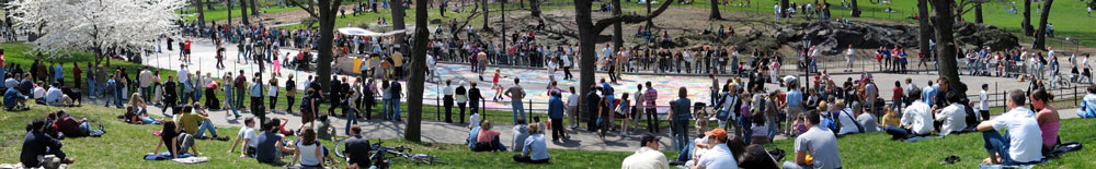 Central Park Skate Circle Panorama